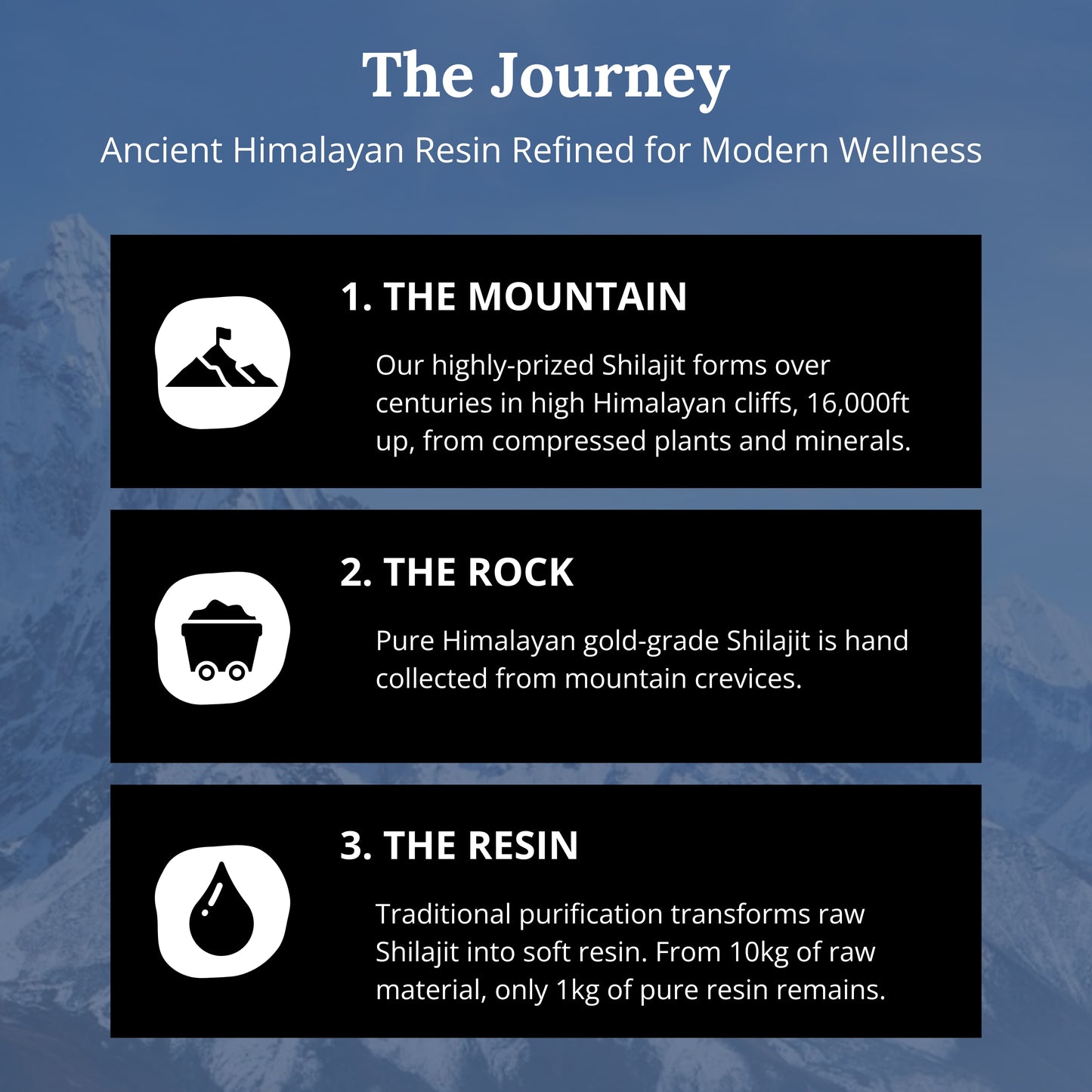 Nature's Answer to Modern Fatigue