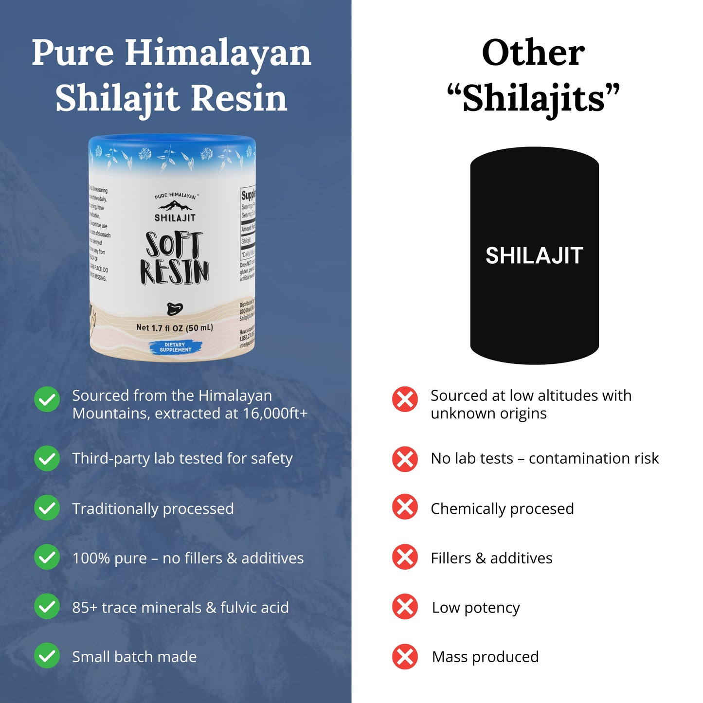 Nature's Answer to Modern Fatigue